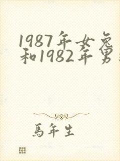1987年女兔和1982年男狗婚姻好吗