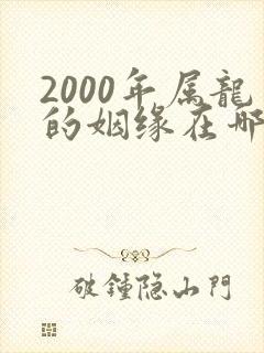2000年属龙的姻缘在哪年