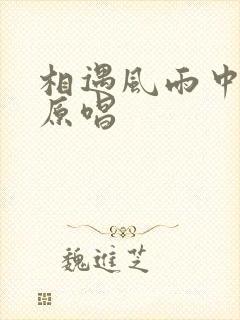 相遇风雨中歌曲原唱封面