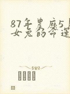 87年农历5月女兔的命运