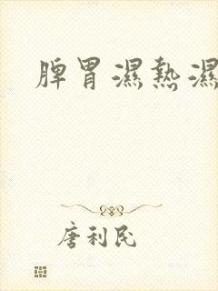 脾胃湿热湿气重