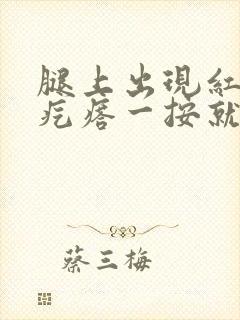 腿上出现红色的疙瘩一按就疼封面