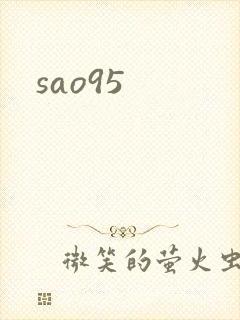 sao95封面