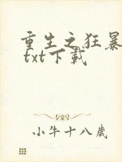 重生之狂暴火法 txt下载