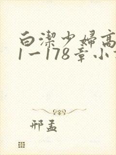 白洁少妇高义第1一178章小说