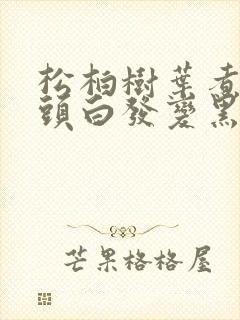 松柏树叶煮水洗头白发变黑发吗