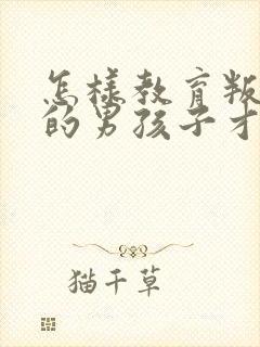 怎样教育叛逆期的男孩子才是正确的封面