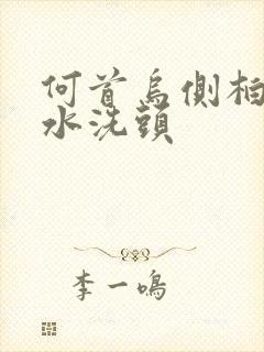 何首乌侧柏叶煮水洗头