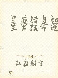 农历腊月初一出生男孩命运如何