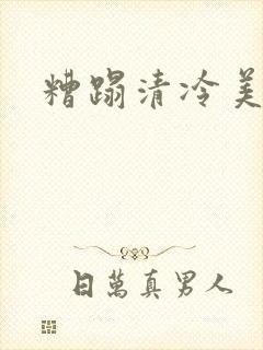 糟蹋清冷美人封面