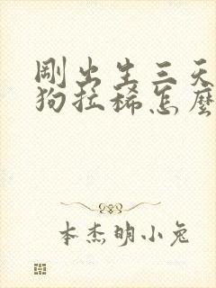 刚出生三天的小狗拉稀怎么办