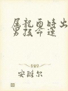 属龙酉时出生的男孩命运