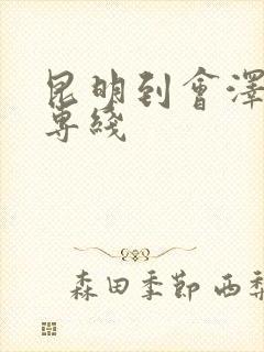 昆明到会泽物流专线