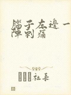 脑子左边一阵一阵刺痛