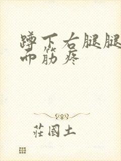 蹲下右腿腿弯后面筋疼