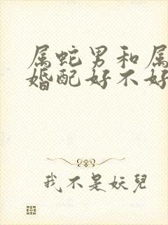属蛇男和属蛇女婚配好不好封面