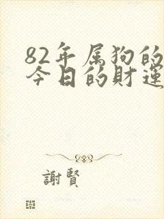 82年属狗的人今日的财运怎么样