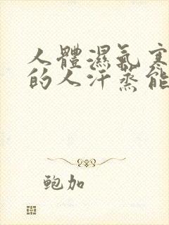 人体湿气寒气重的人汗蒸能改善吗