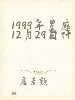 1999年农历12月29日什么命