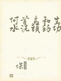 何首乌和生姜煮水洗头的功效作用