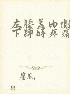 左膝盖内侧弯曲下蹲时疼痛封面