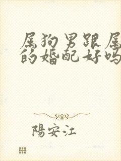 属狗男跟属牛女的婚配好吗