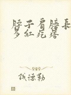 脖子肩膀长了好多红疙瘩封面