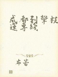 成都到攀枝花货运专线封面