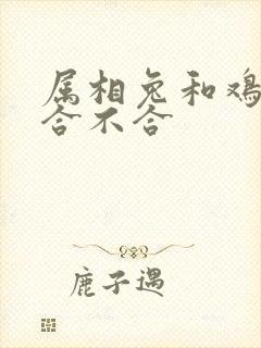 属相兔和鸡属相合不合