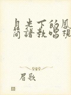 月光下的凤尾竹简谱教唱视频葫芦丝