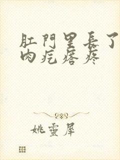 肛门里长了一个肉疙瘩疼