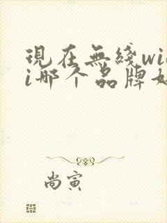 现在无线wifi哪个品牌好