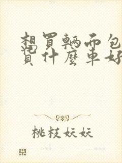 想买辆面包车拉货什么车好