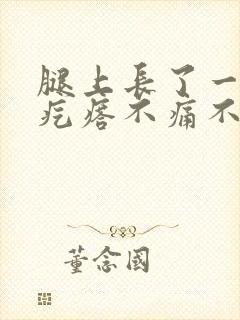 腿上长了一个硬疙瘩不痛不痒