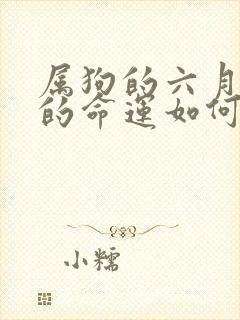 属狗的六月出生的命运如何