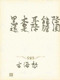 黑木耳能降血脂还是降胆固醇