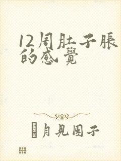 12周肚子胀胀的感觉