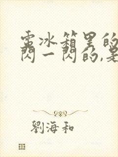 电冰箱里的灯一闪一闪的,是怎么回事