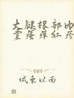 大腿根部内侧阴囊瘙痒红疹发黑封面