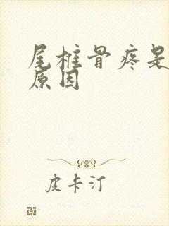 尾椎骨疼是什么原因