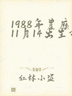 1988年农历11月14出生命运