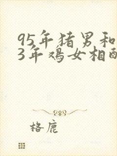 95年猪男和93年鸡女相配婚姻如何