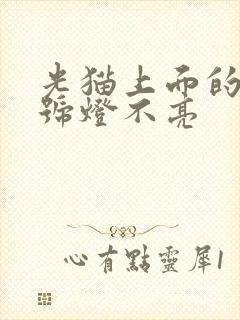 光猫上面的光信号灯不亮