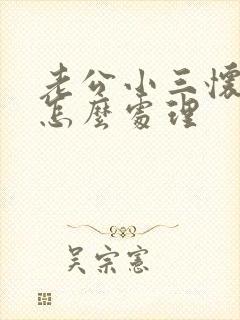 老公小三怀孕了怎么处理