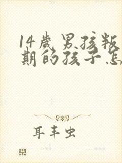 14岁男孩叛逆期的孩子怎么办