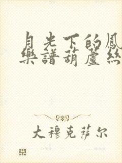 月光下的凤尾竹乐谱葫芦丝曲教唱