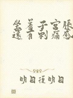 坐着子宫胀胀的还有刺痛感封面