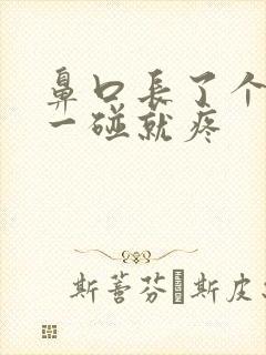 鼻口长了个疙瘩一碰就疼