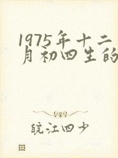 1975年十二月初四生的什么命