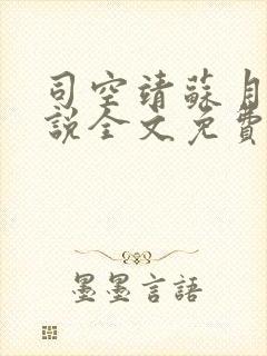 司空靖苏月汐小说全文免费阅读